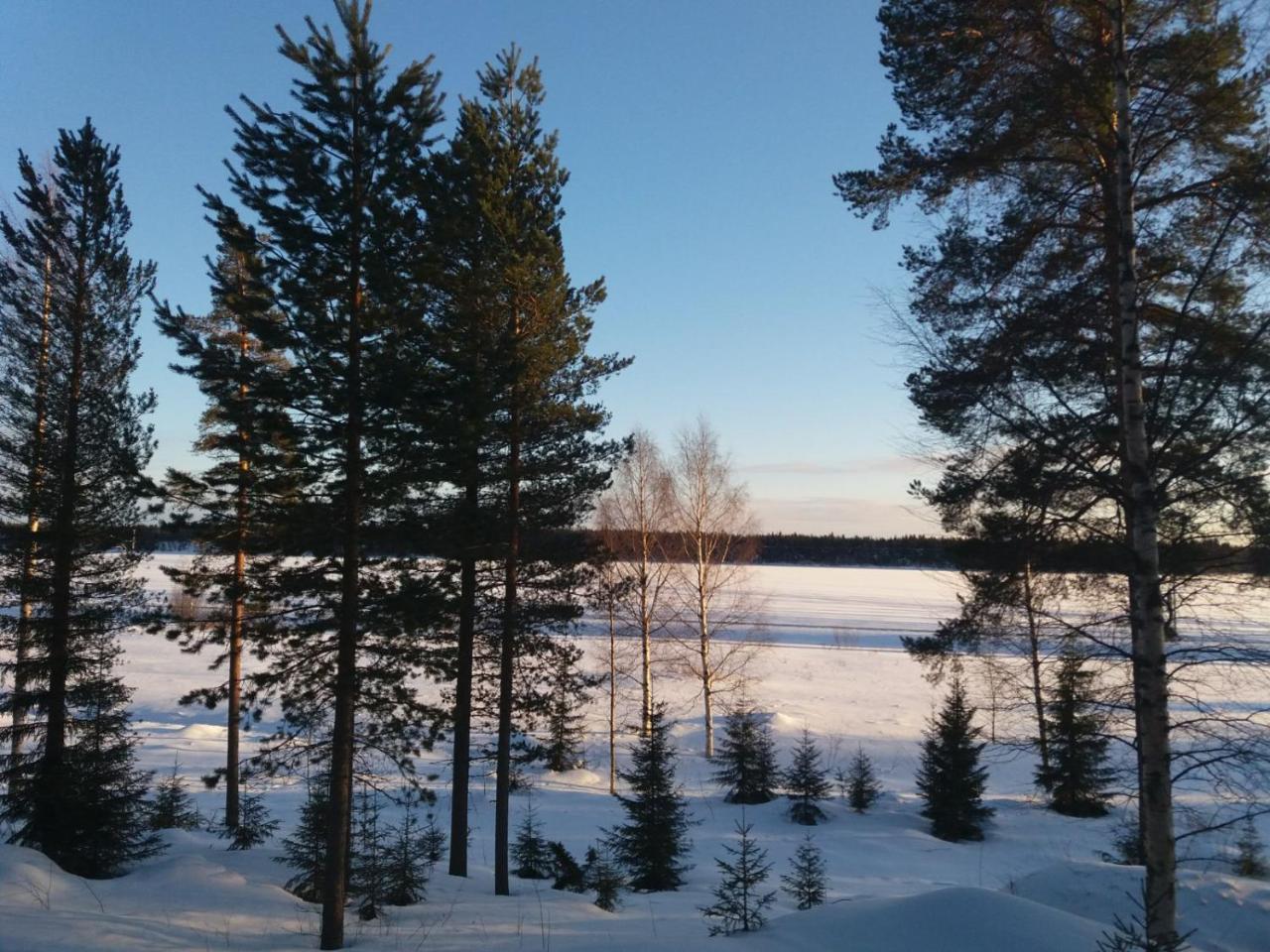 Rieskapaikka Villa Koivu Exterior foto